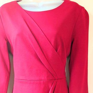 Raspberry Long Sleeve Winter Dress / Semi-formal